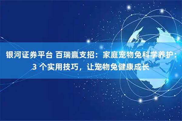 银河证券平台 百瑞赢支招：家庭宠物兔科学养护：3 个实用技巧，让宠物兔健康成长