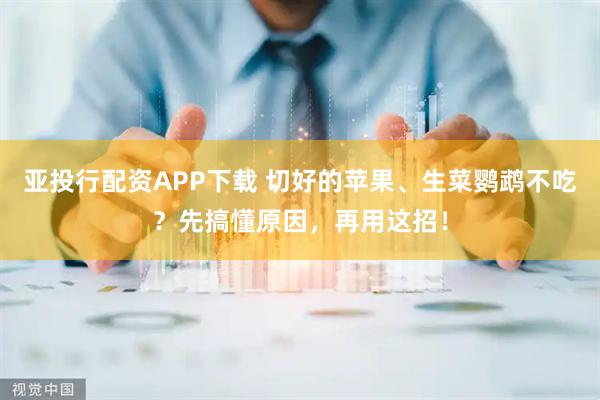 亚投行配资APP下载 切好的苹果、生菜鹦鹉不吃？先搞懂原因，再用这招！