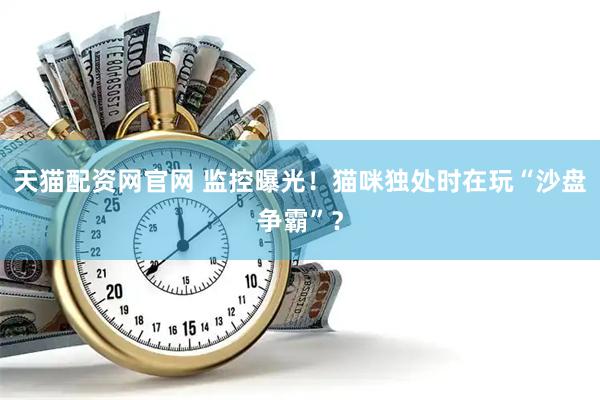 天猫配资网官网 监控曝光！猫咪独处时在玩“沙盘争霸”？