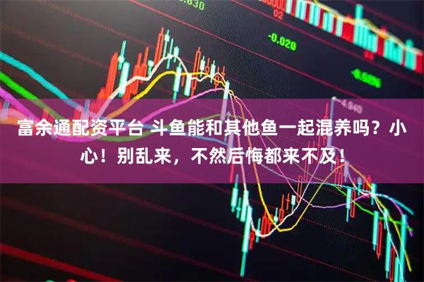 富余通配资平台 斗鱼能和其他鱼一起混养吗？小心！别乱来，不然后悔都来不及！