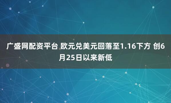 广盛网配资平台 欧元兑美元回落至1.16下方 创6月25日以来新低
