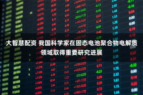 大智慧配资 我国科学家在固态电池聚合物电解质领域取得重要研究进展
