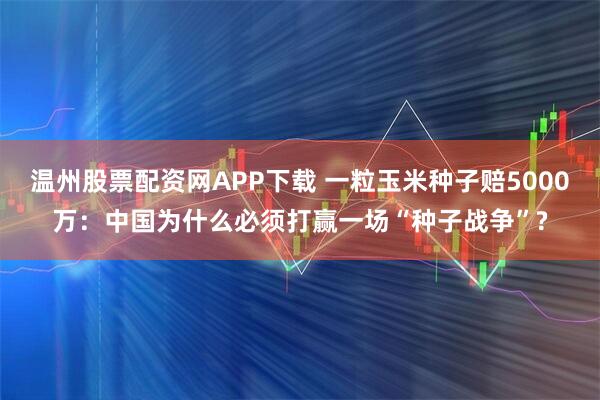 温州股票配资网APP下载 一粒玉米种子赔5000万：中国为什么必须打赢一场“种子战争”?